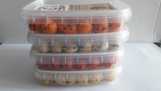 Rohlíkové Boilies KC Řepkové